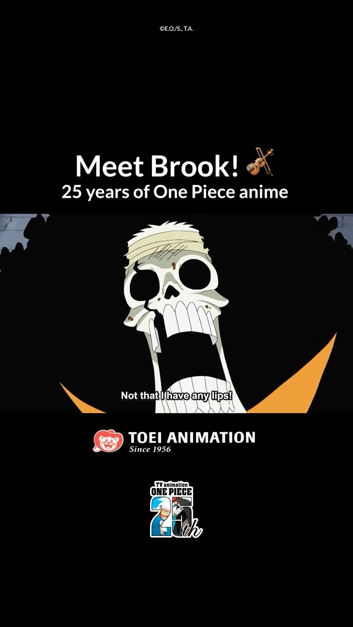 YOHOHOHO ? It's time to Meet Brook!